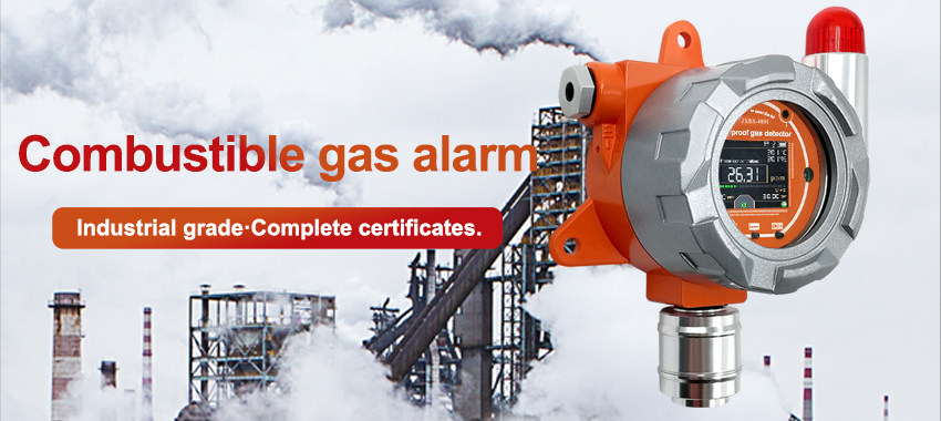 Fixed combustible gas detector