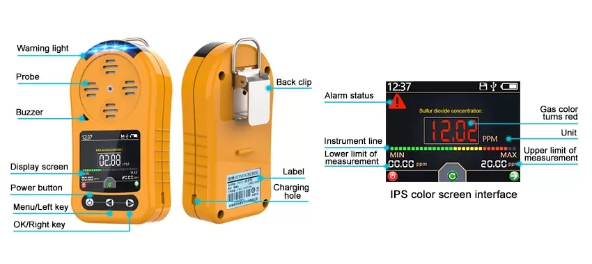 Portable gas detector
