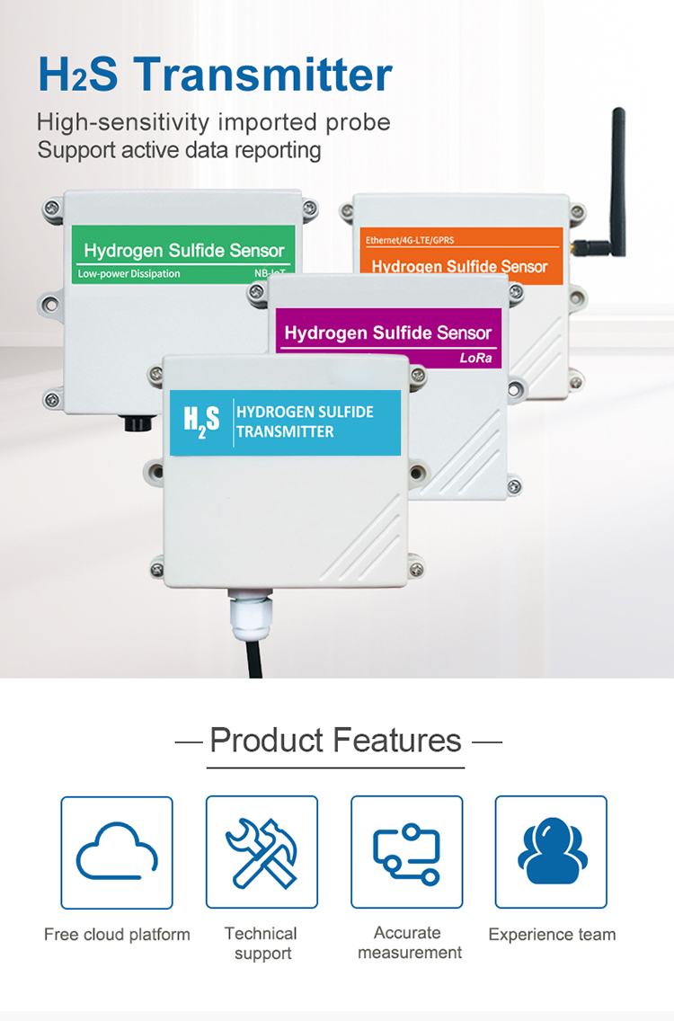 H2S Sensor