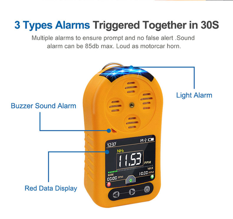 Portable H2 gas detector