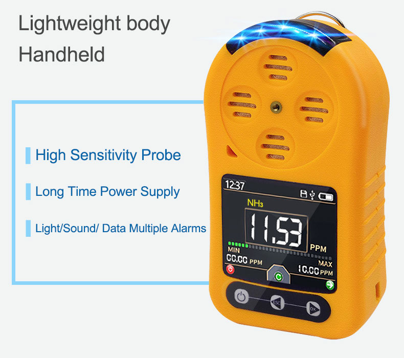 Portable H2S gas detector